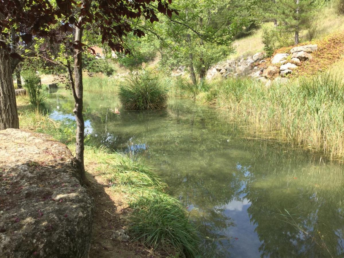 Mazet Tournesol aux portes du Verdon Saint-Martin-de-Brômes Eksteriør billede