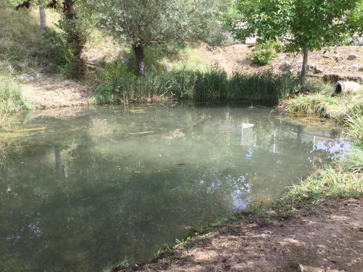 Mazet Tournesol aux portes du Verdon Saint-Martin-de-Brômes Eksteriør billede